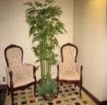 The Chariot Hotel Louisville Luaran gambar